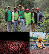 Ethiopian Sidamo (Shantawene - grade 1 - natural processed)