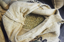 Green coffee beans