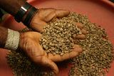 Green coffee beans