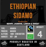 Ethiopian Sidamo